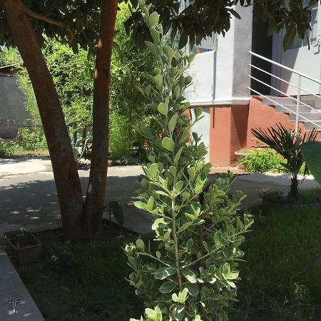 Green House Tbilisi Bagian luar foto